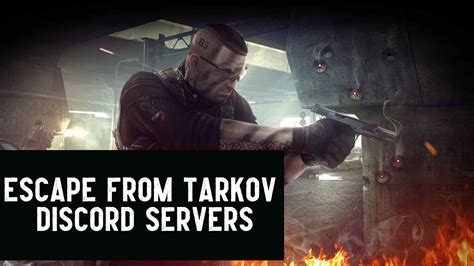 escape from tarkov discord for new players